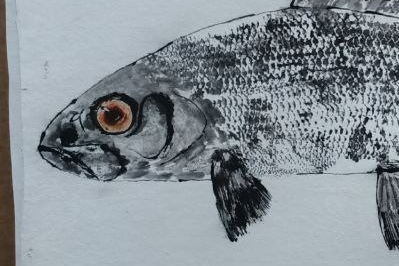 #Хариус #Gyotaku