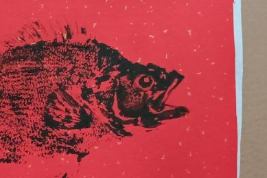 #Окунь #perch #Картинка Окунь