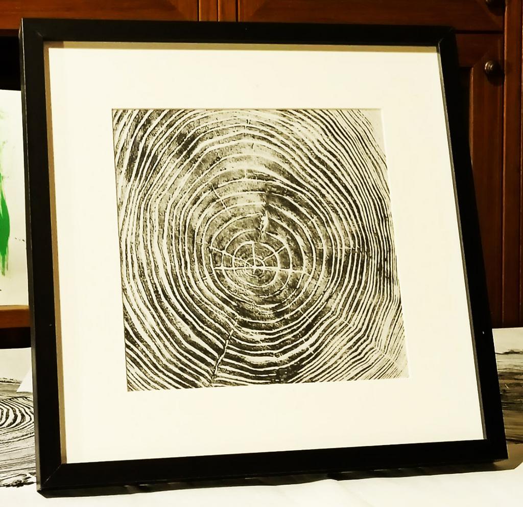 годичные кольца  2500 ₽