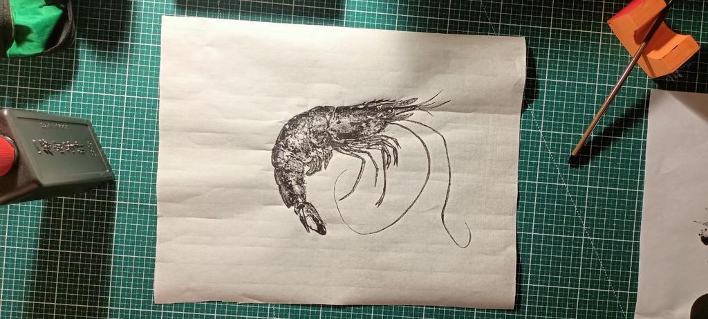 Креветка 3700 ₽