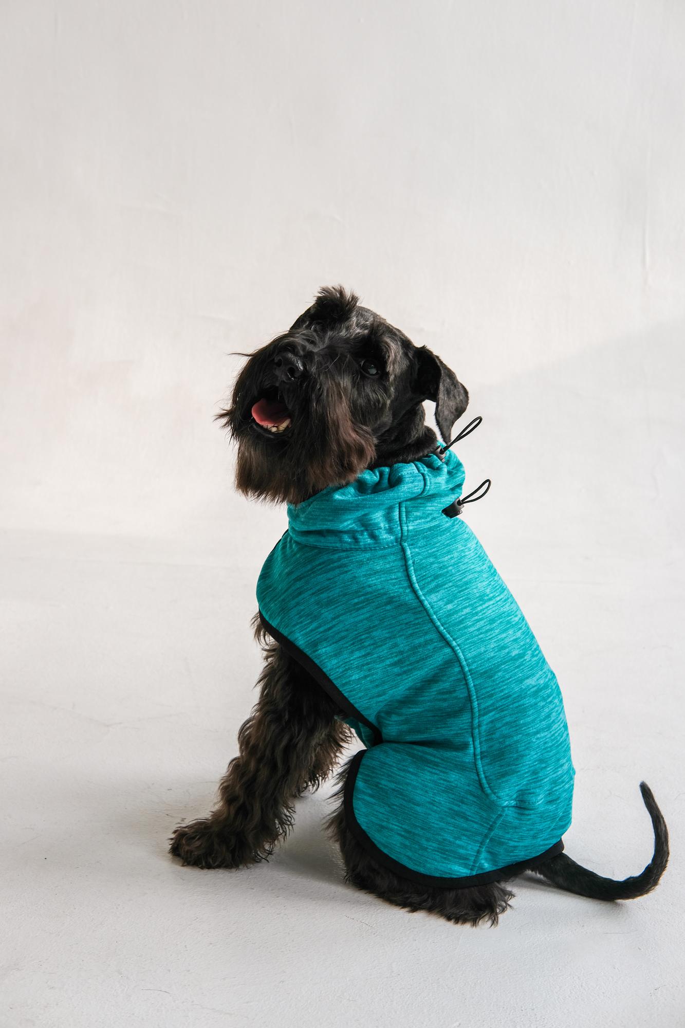 Жилет для собак