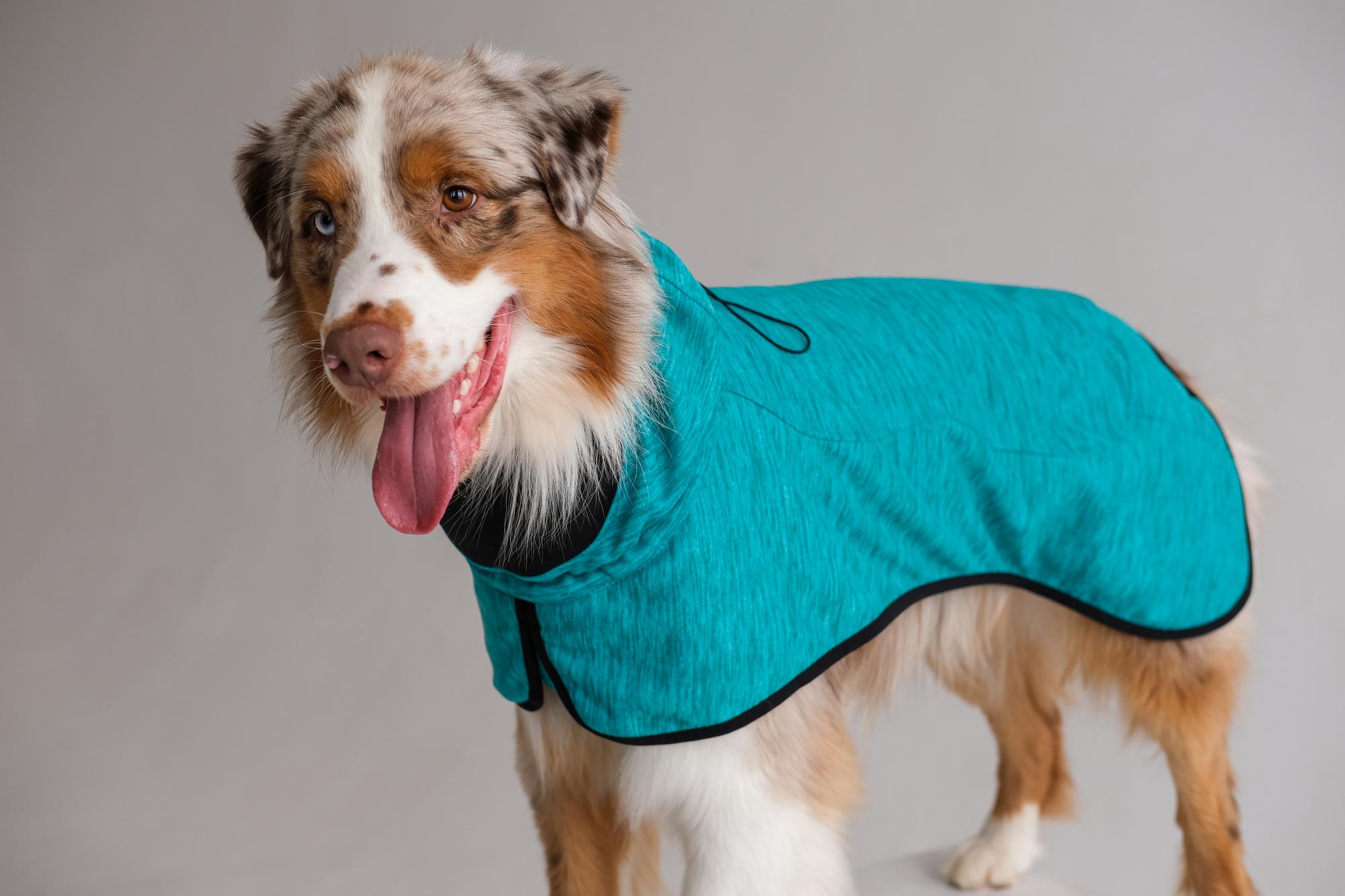 Жилет для собак