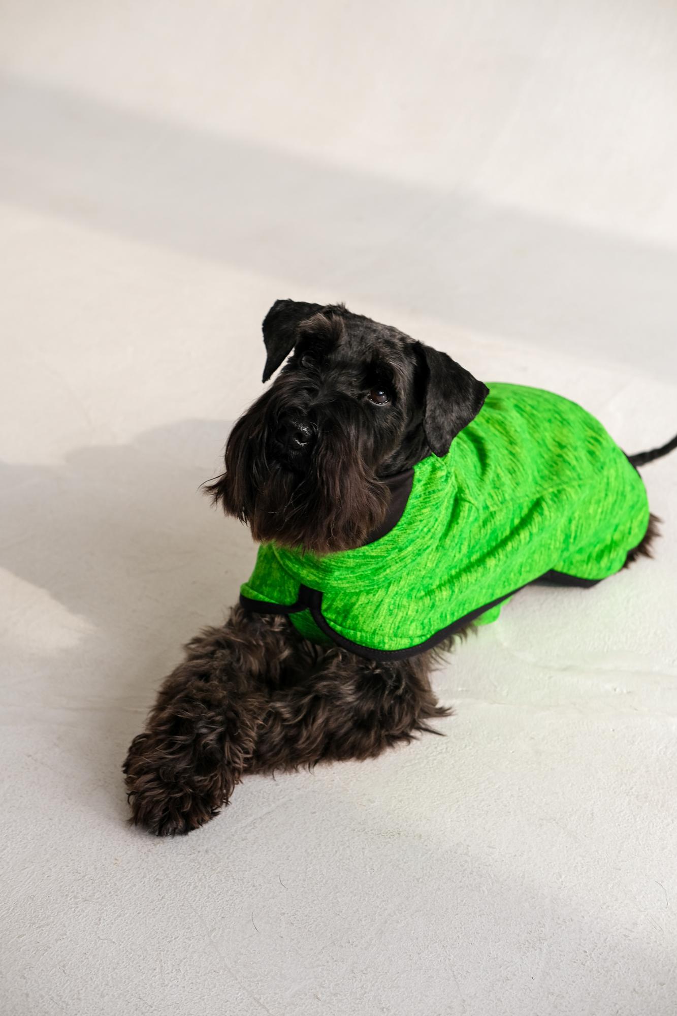 Жилет для собак