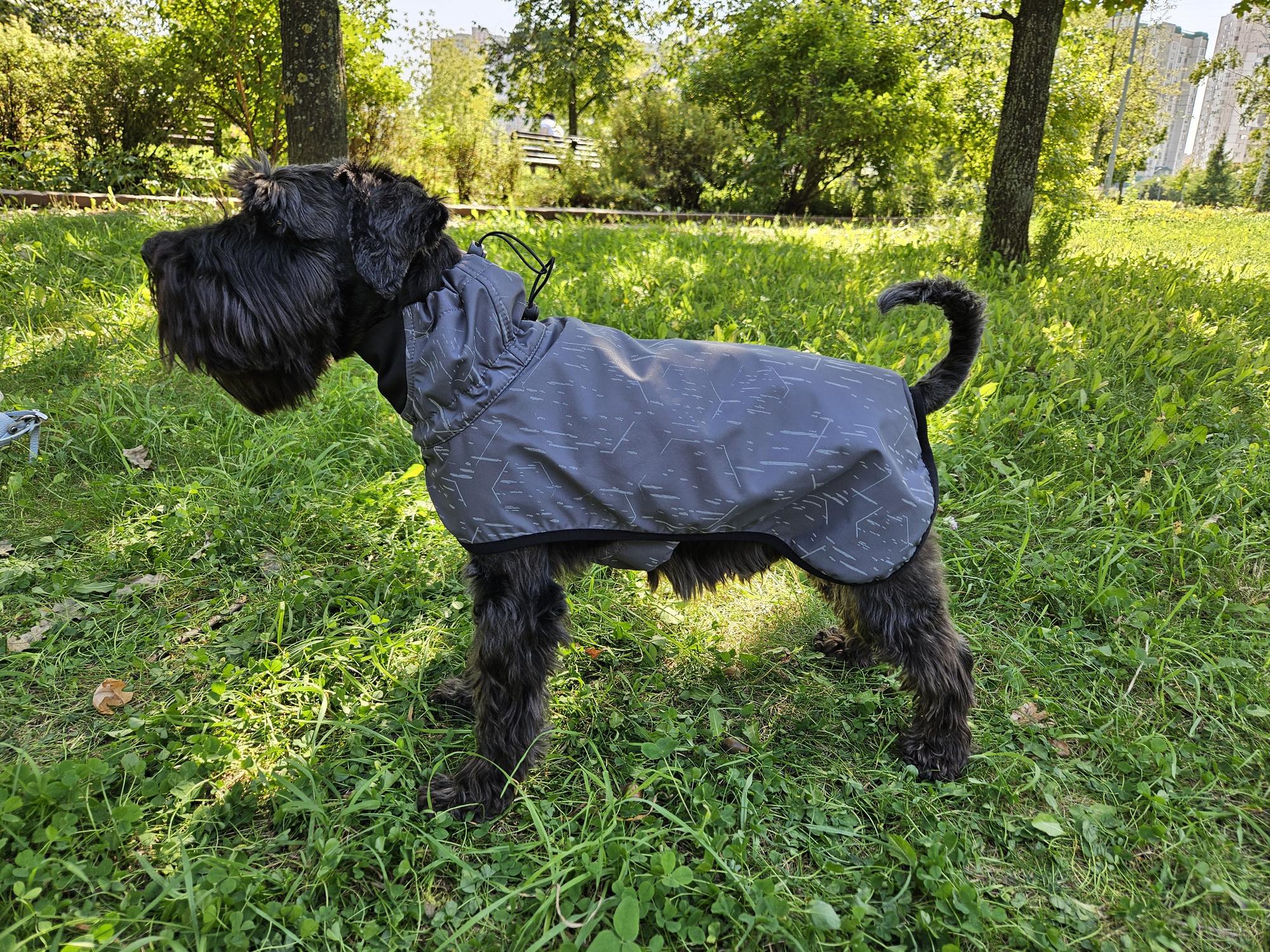 Дождевик для собак