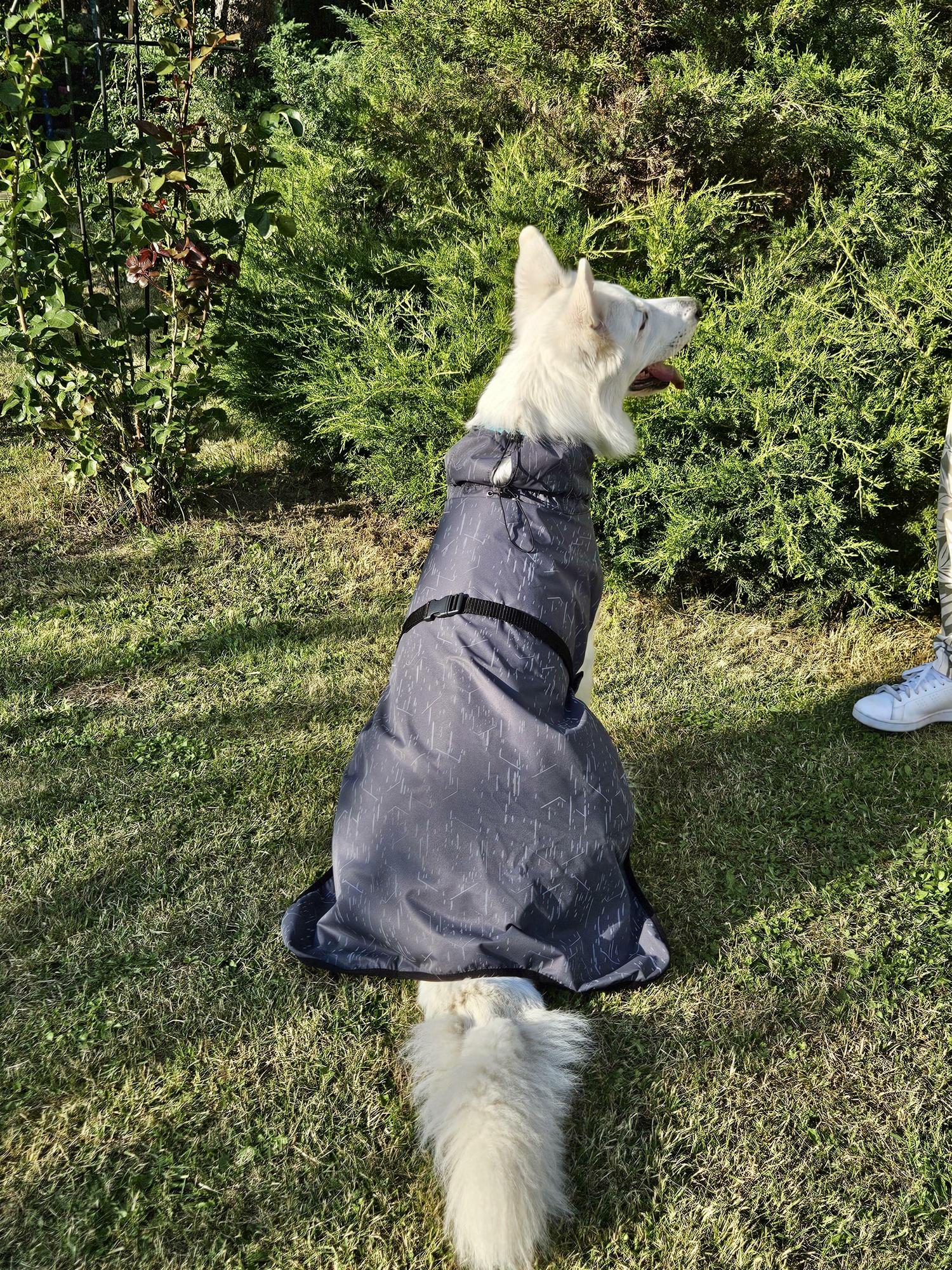 Дождевик для собак