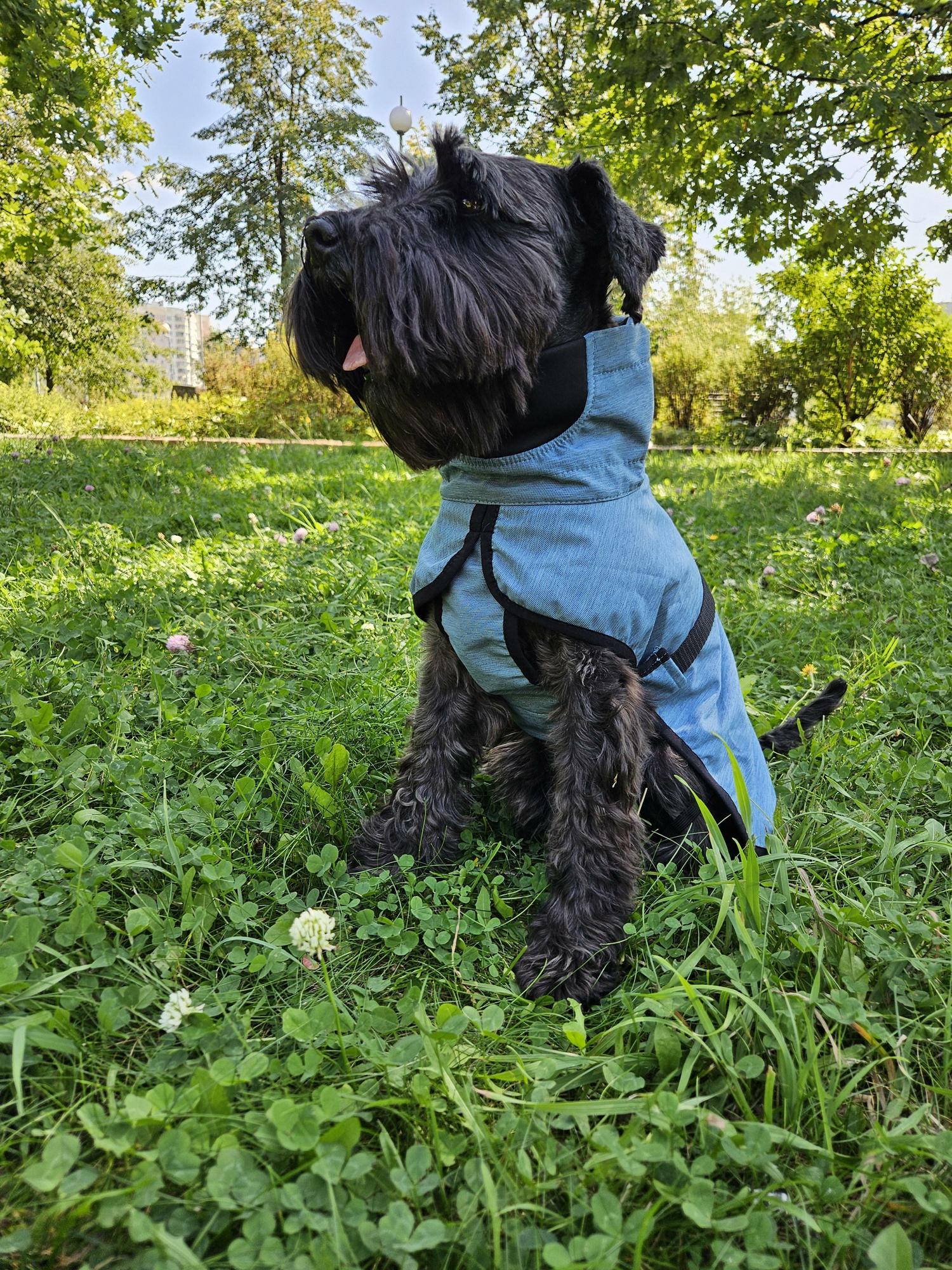 Дождевик для собак