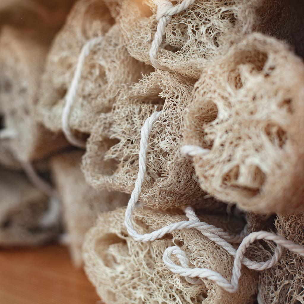 ЛЮФА МОЧАЛКА ИЗ КАБАЧКА