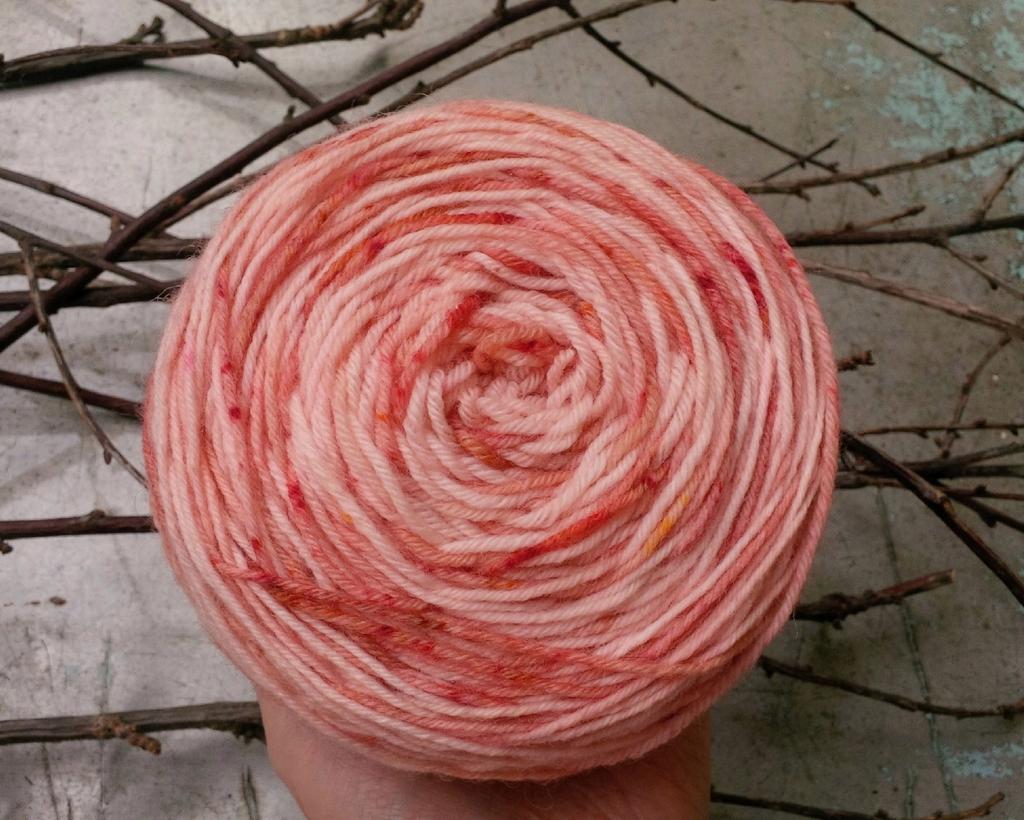 sock 240m / 800 руб /100 гр / 70 % шерсть superwash, 30 % Полиамид " Чайная Роза"