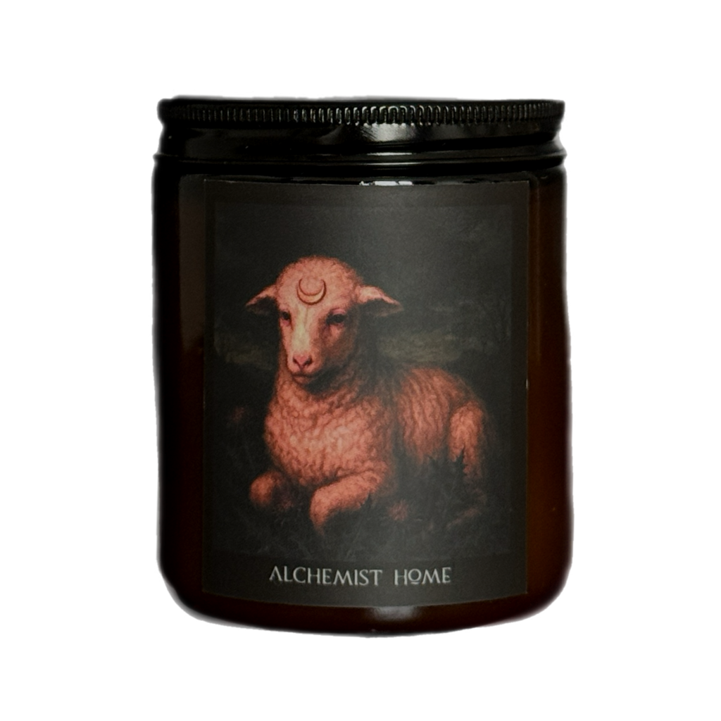 АГНЕЦ КОНСТРУКТОР