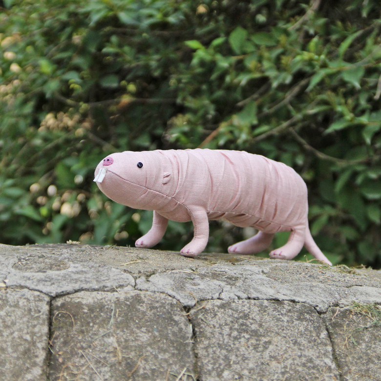 Голый землекоп