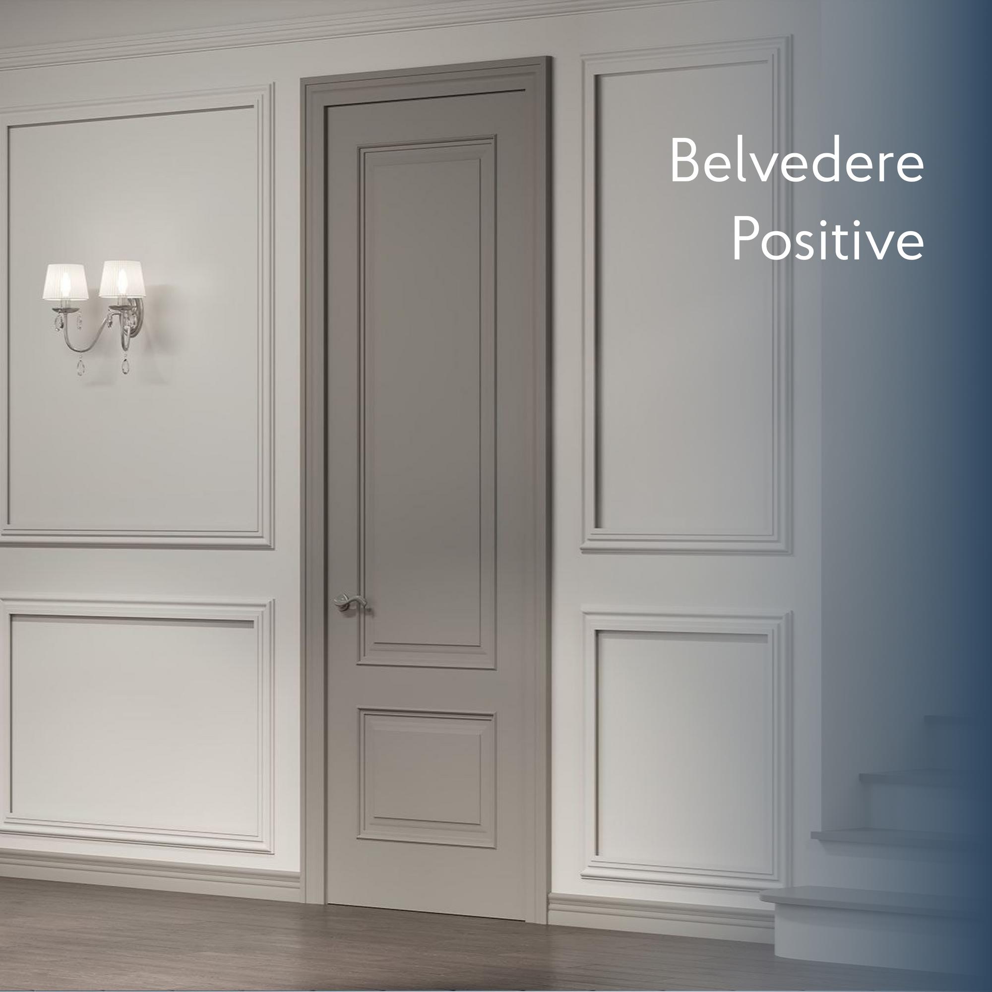 Belvedere Positive
