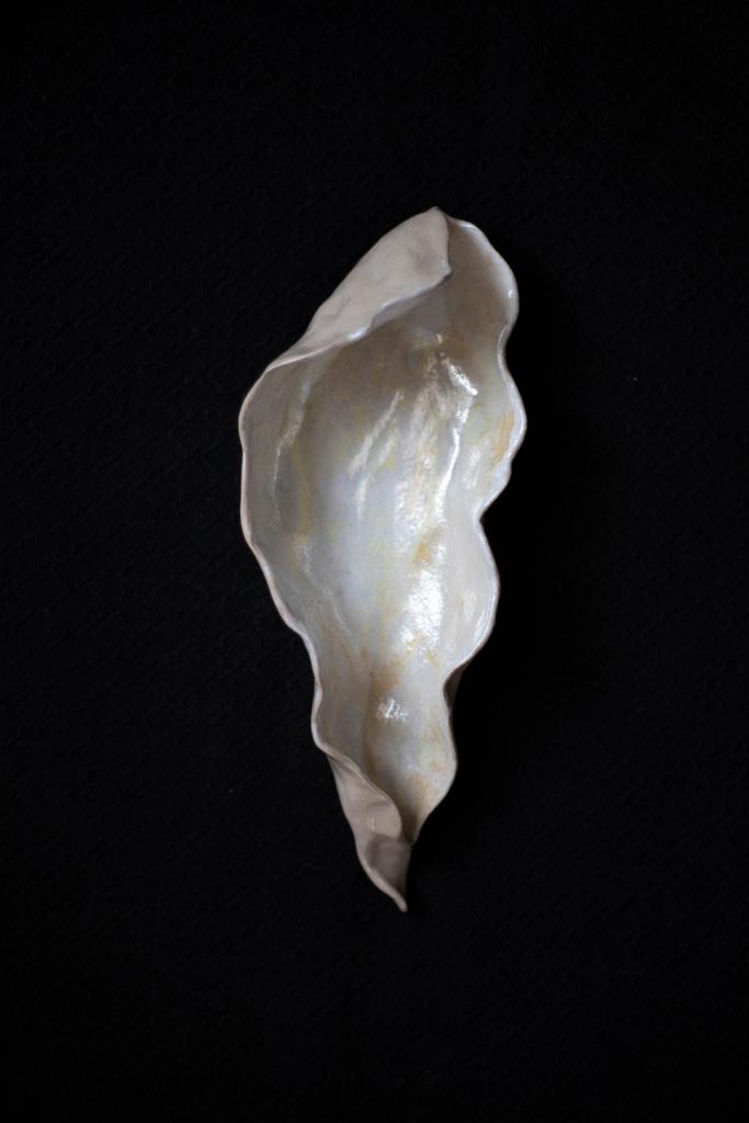 Раковина "Ceramic Shell" / 25