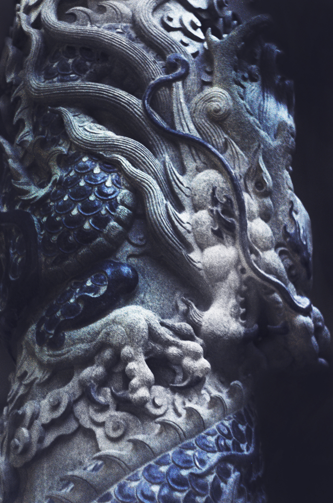 Sapphire Sentinel Of The Wilds