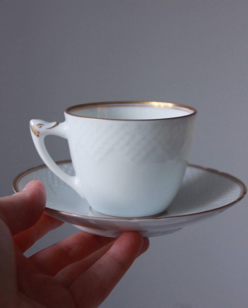 Чайная пара Bing Grondahl