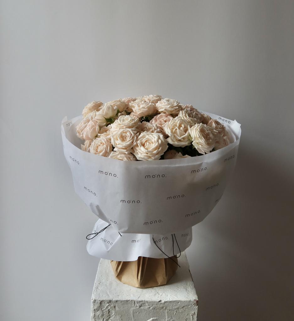 розы кустовые БОМБАСТИК | норм