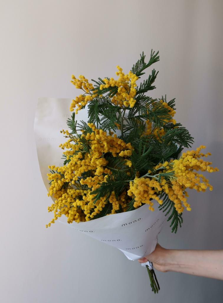 охапка МИМОЗЫ | мини