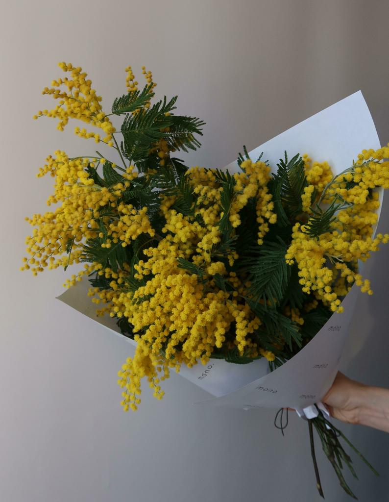 охапка МИМОЗЫ | норм