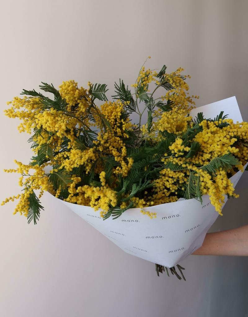 охапка МИМОЗЫ | макси