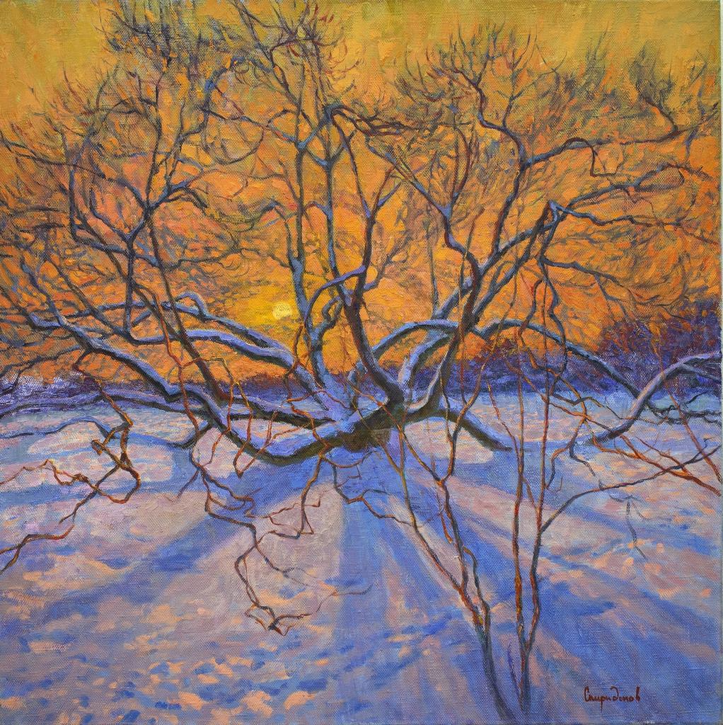 Маньчжурский орех