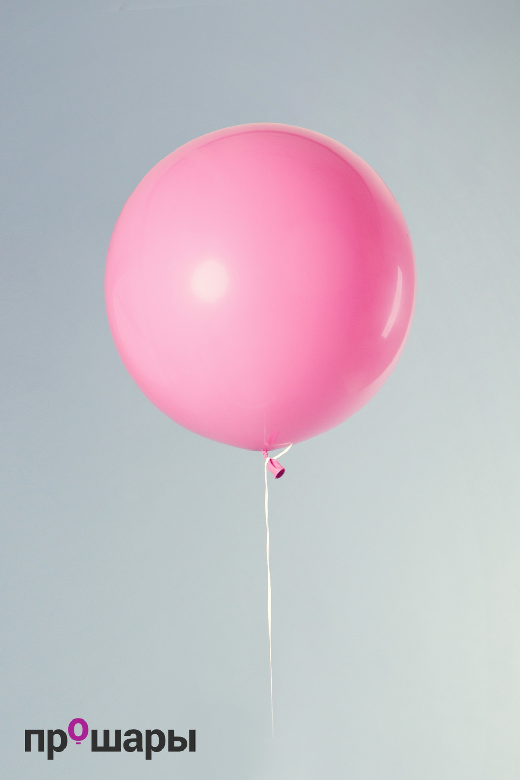Шар гигант 65 см розовый