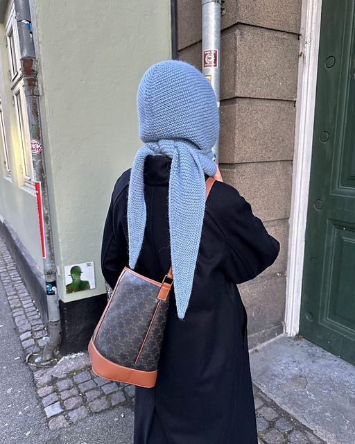 Совместник Капюшон