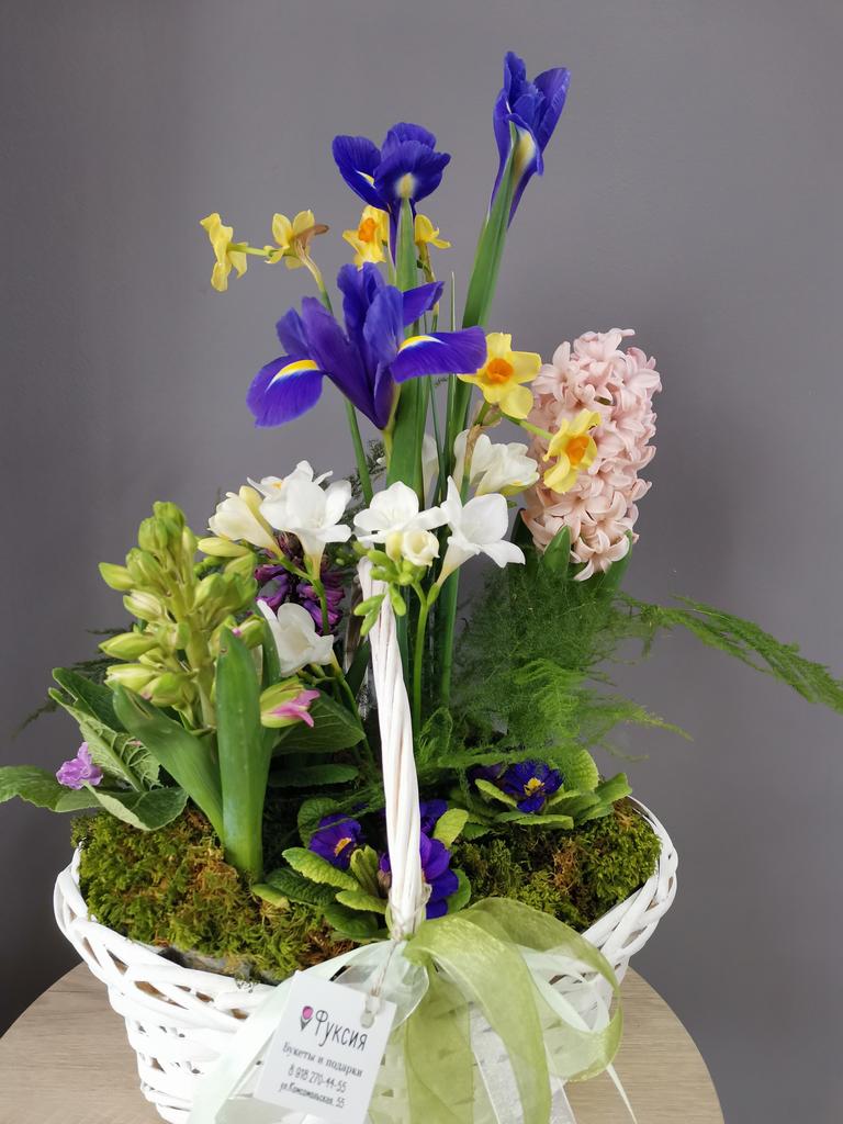 Весенний садик 3