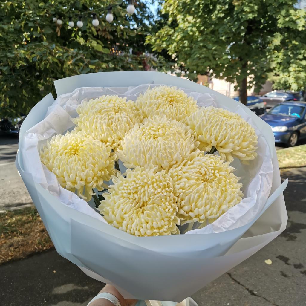 букет хризантем крем