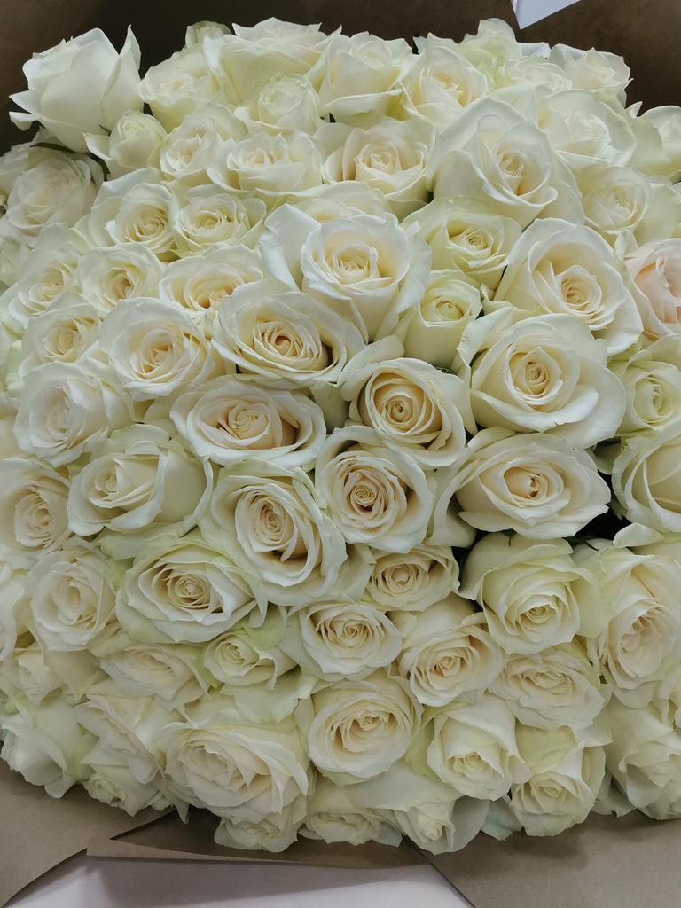 101 белая роза