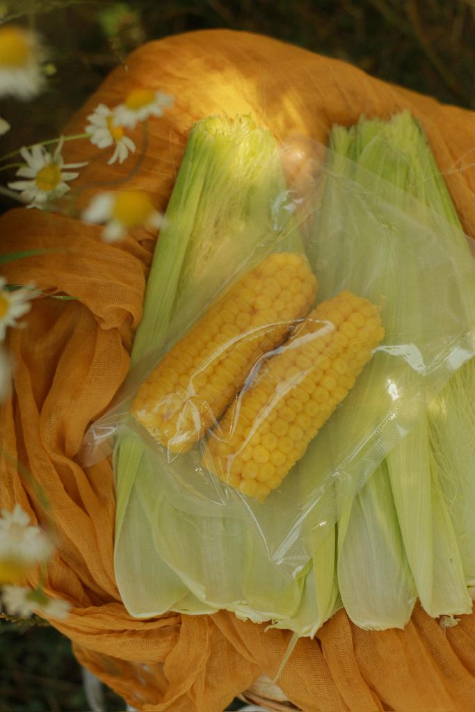 Кукуруза пара S