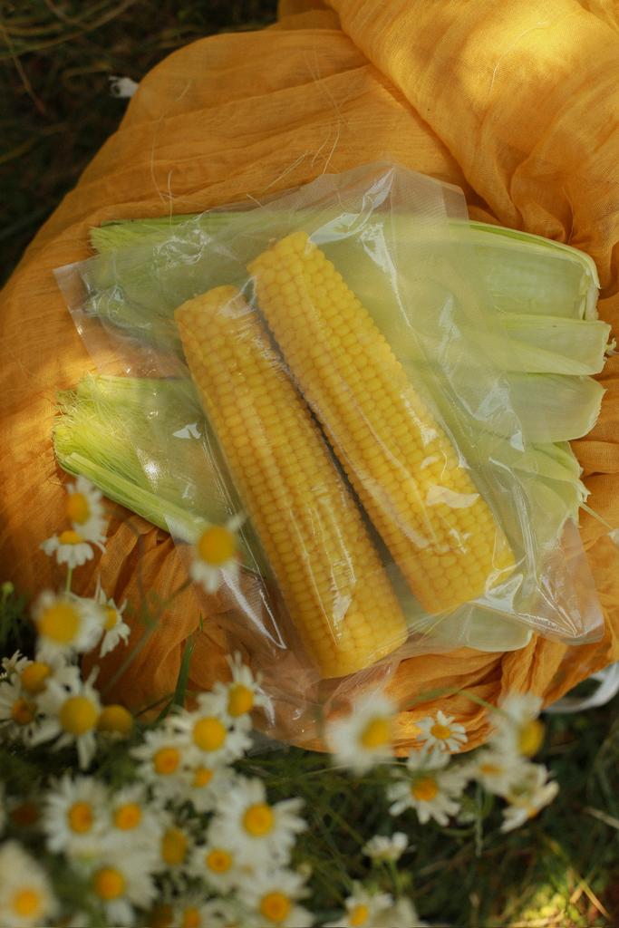 Кукуруза пара L