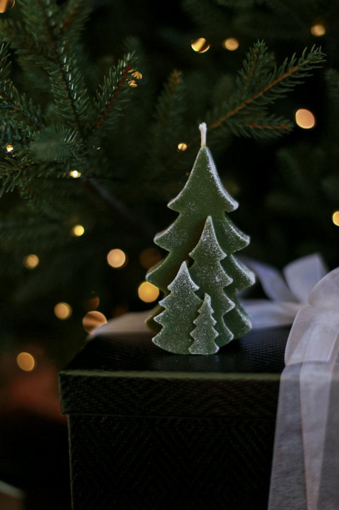 Хвойный лес