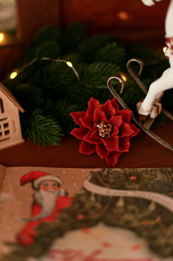 Пуансетия №2