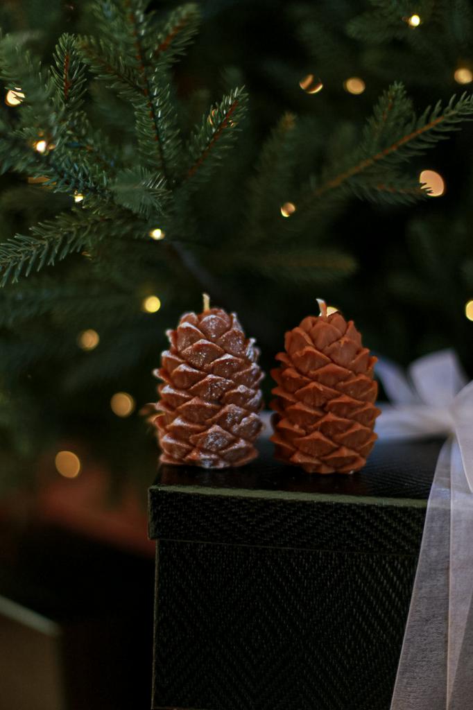 Шишка  кедровая