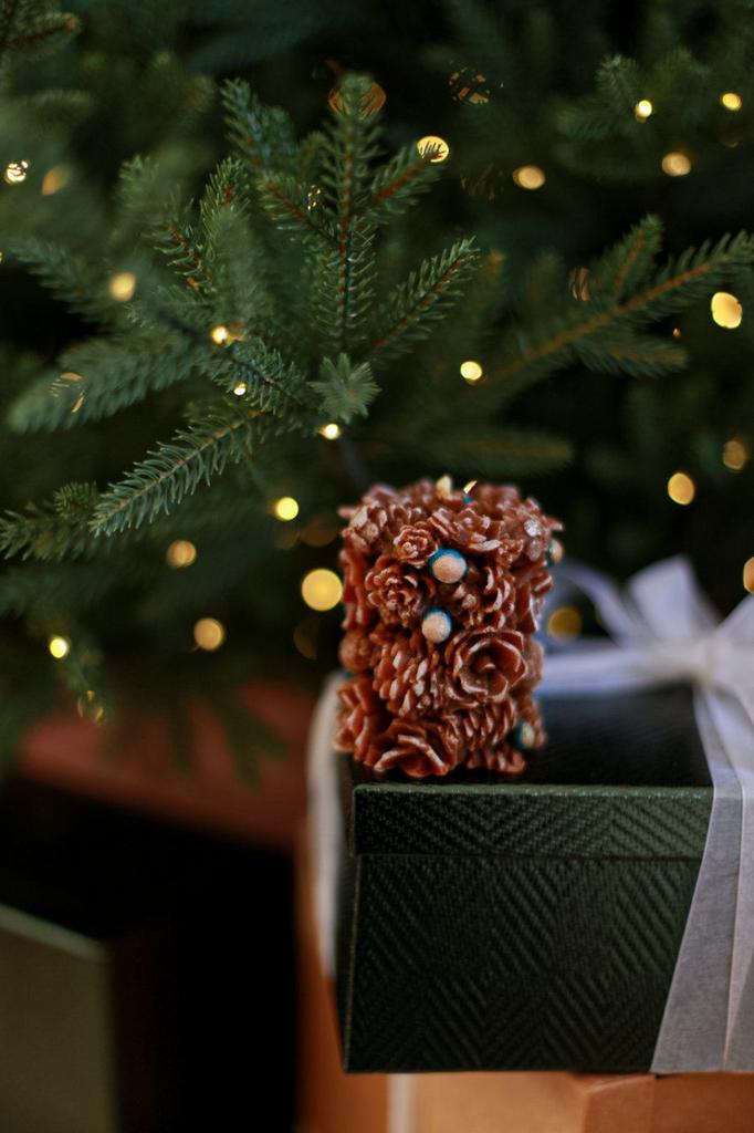 Шишки  можжевельнка