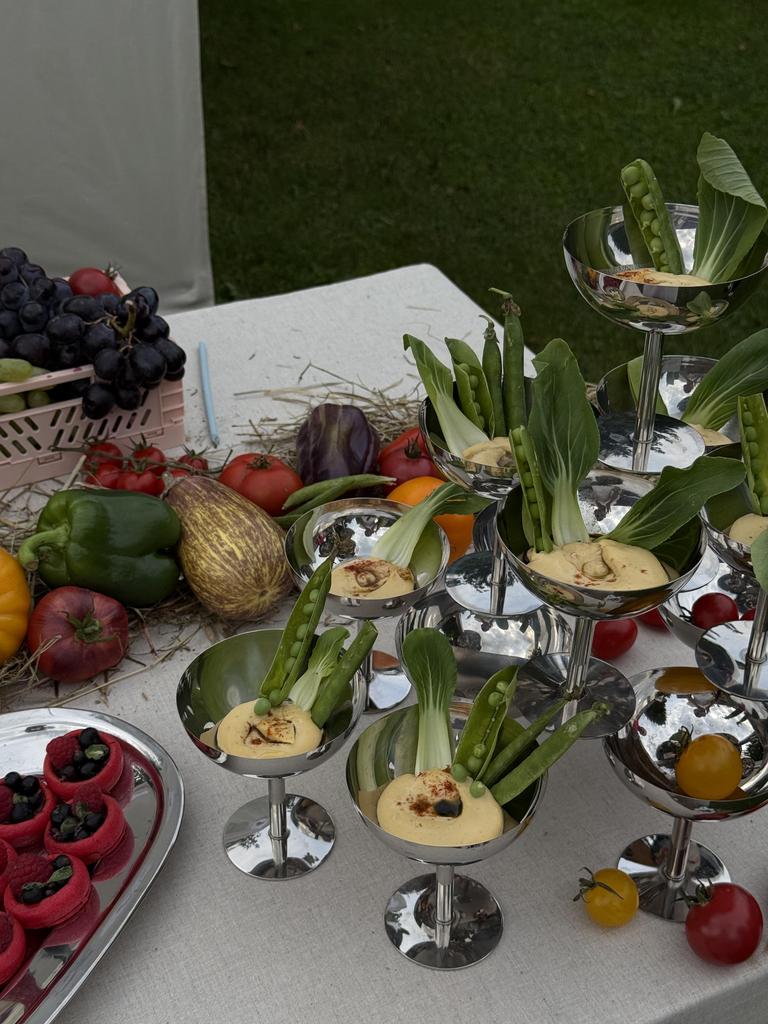 СЕТ "ГУРМАН"