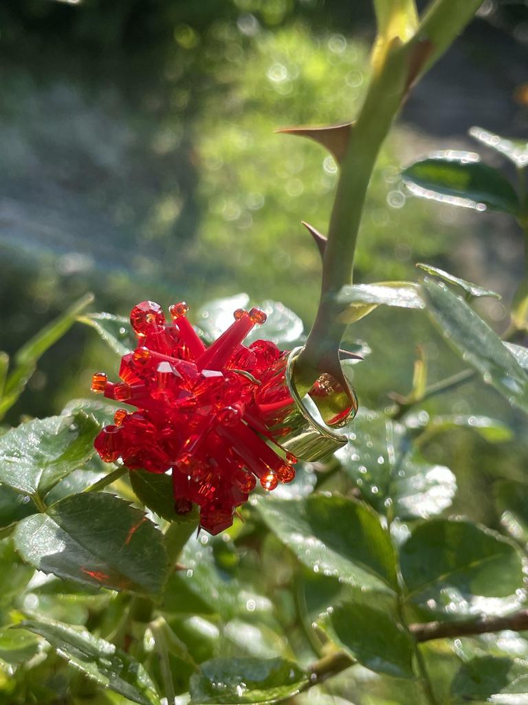 Мини Астра красная