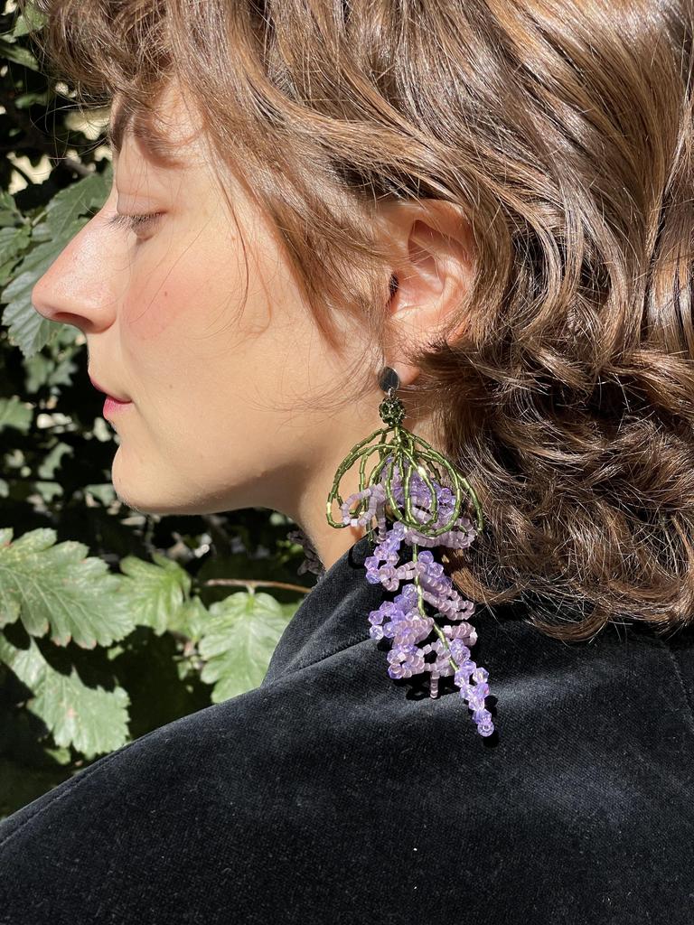 Люпины фиолетовые