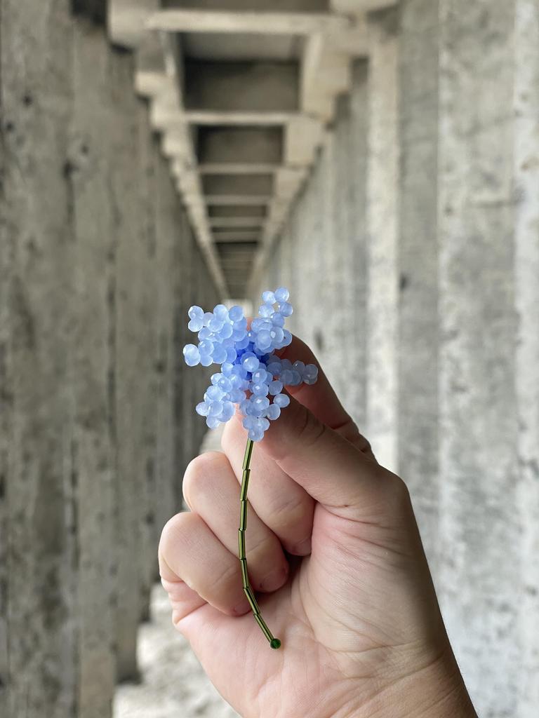 Анютины глазки голубые