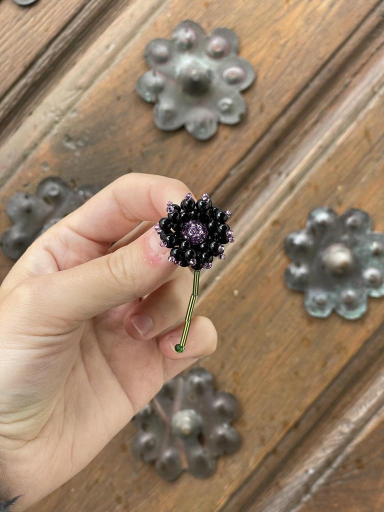 Васильки маленькие черные