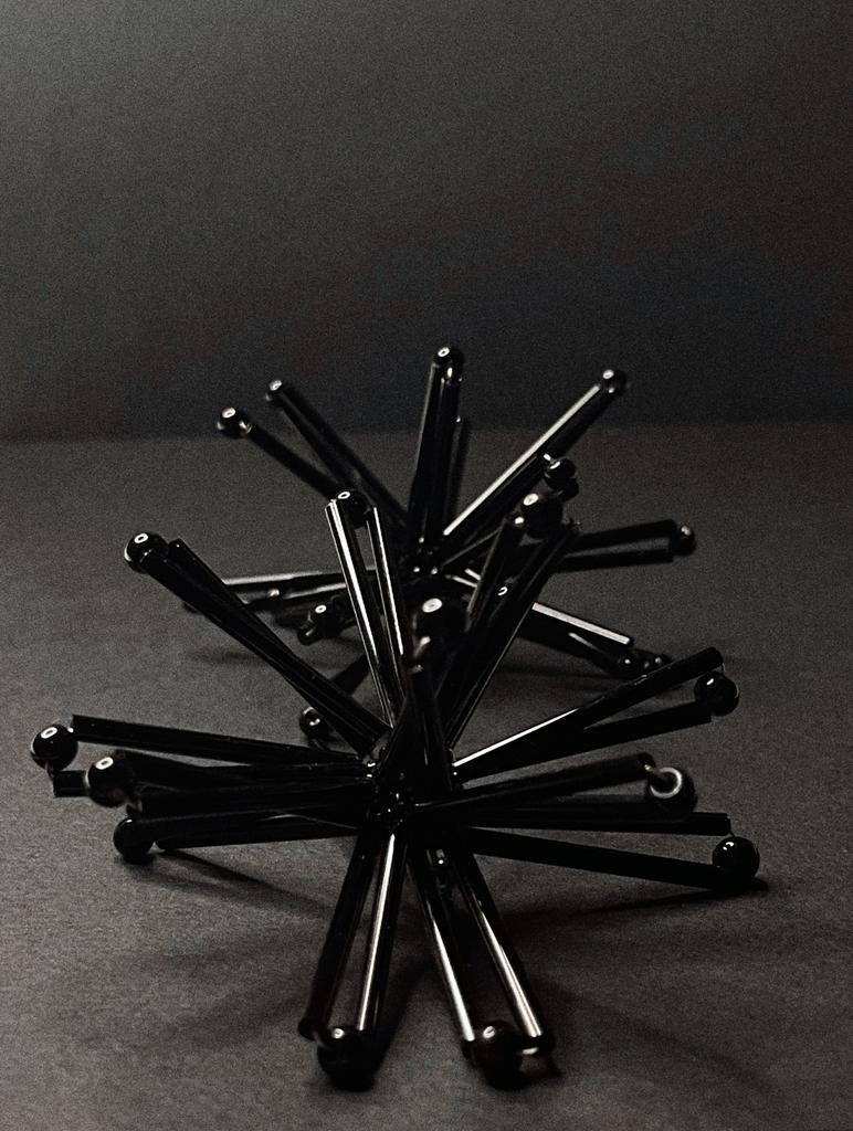 Астры черные