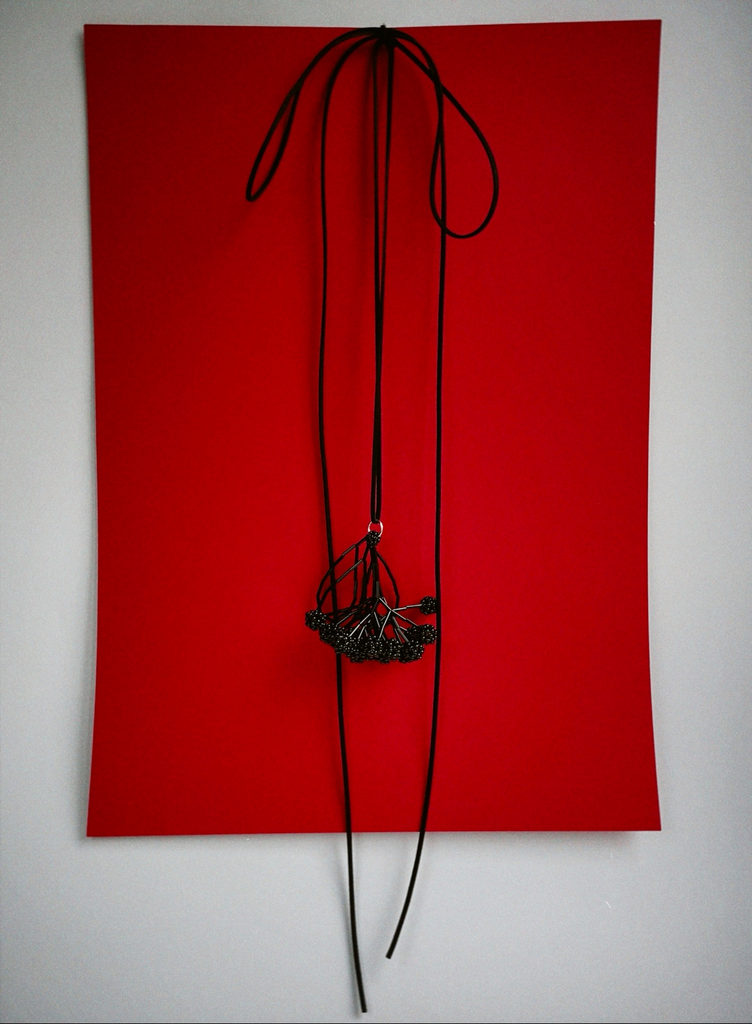 Черноплодная рябина