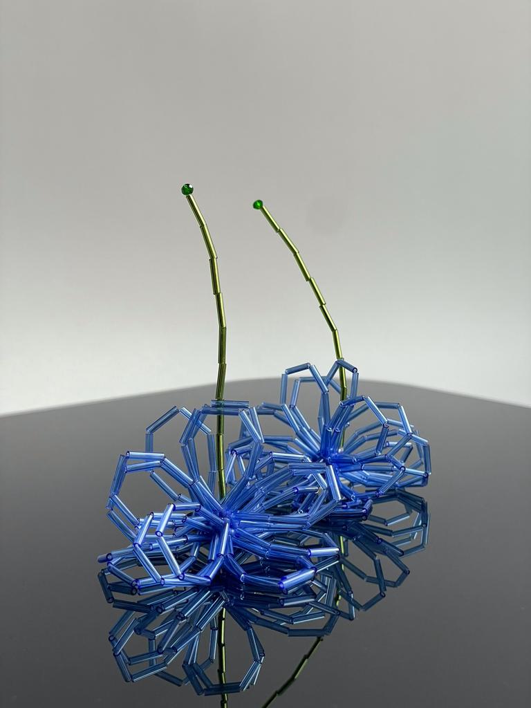 Георгины синие