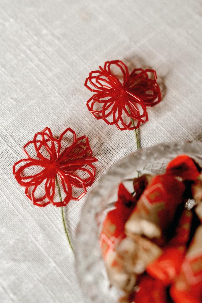 Георгины бордо