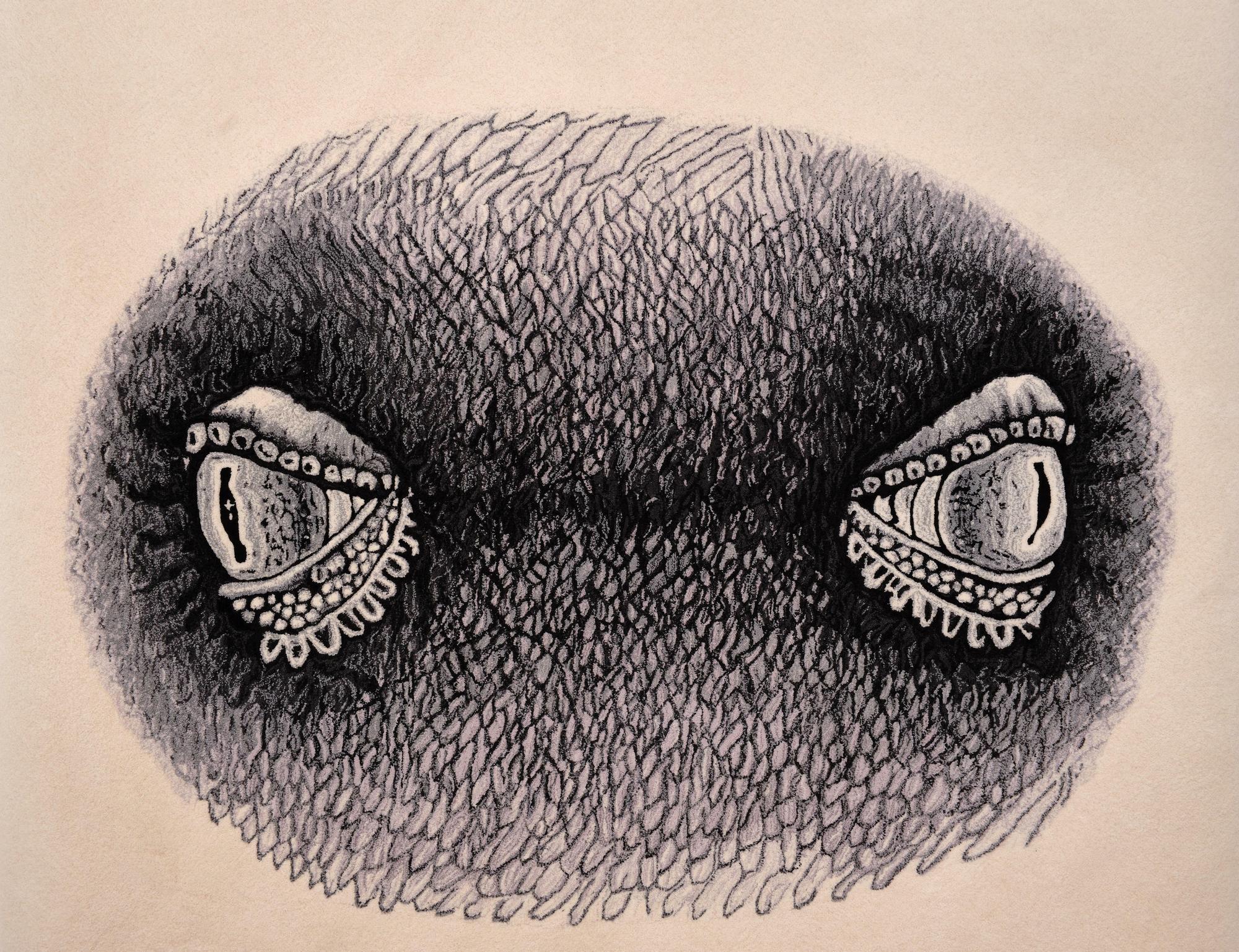 Авторский ковер  коллабарация с Гошей Острецовым