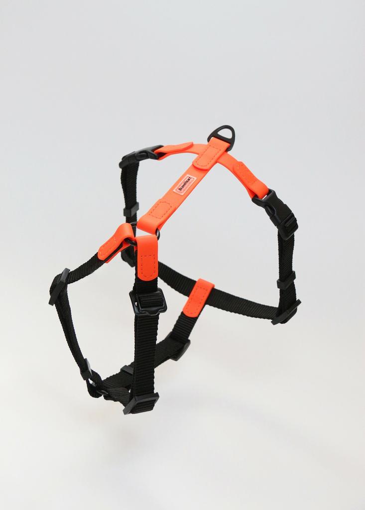 Шлейка оранжевая VEGA