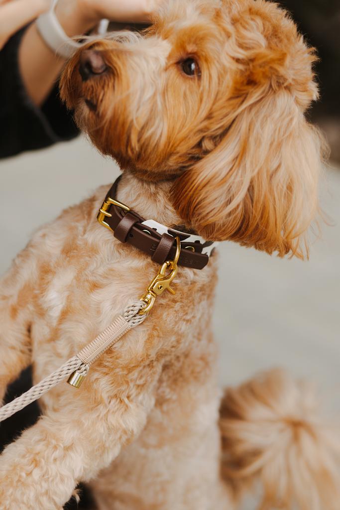 Ошейник селёдка КОРОВКА