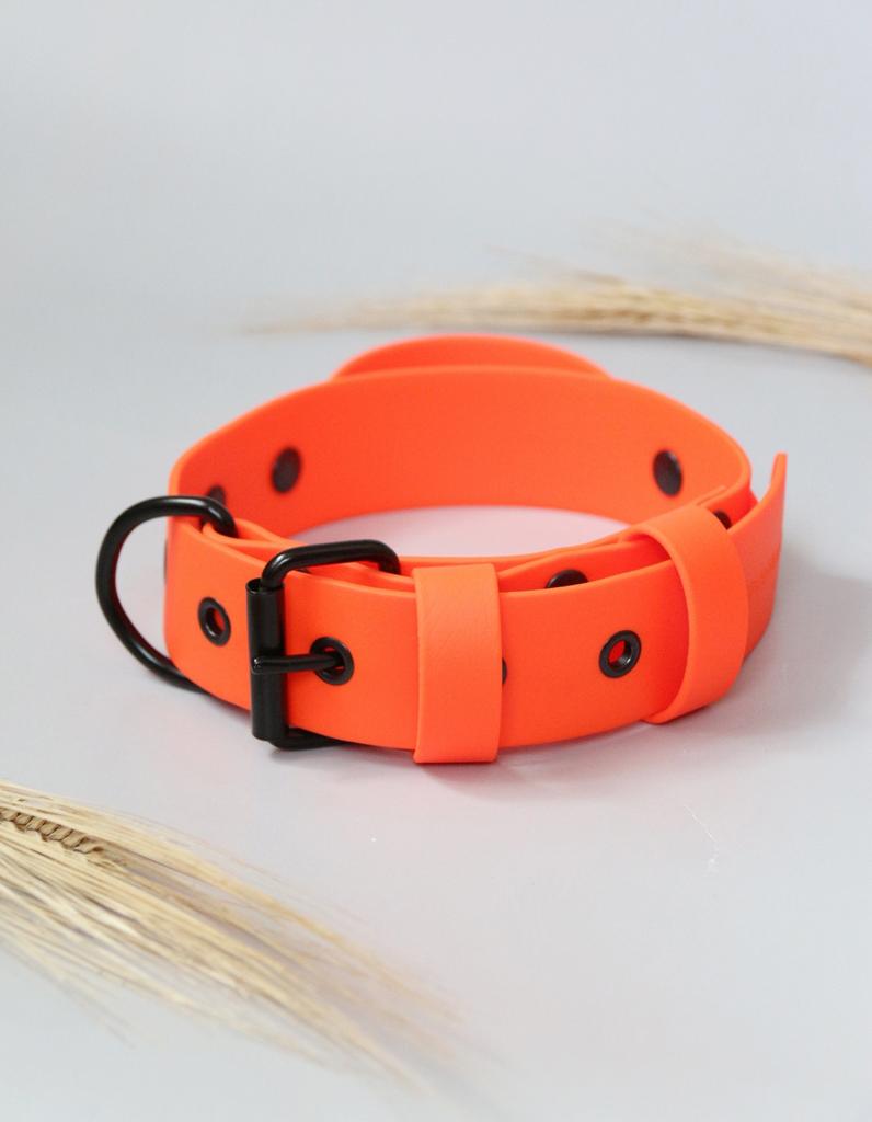 Широкий ошейник оранжевый 38мм