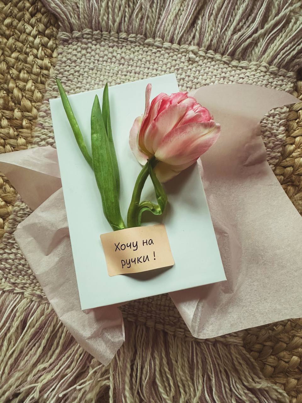 "Хочу на ручки!"