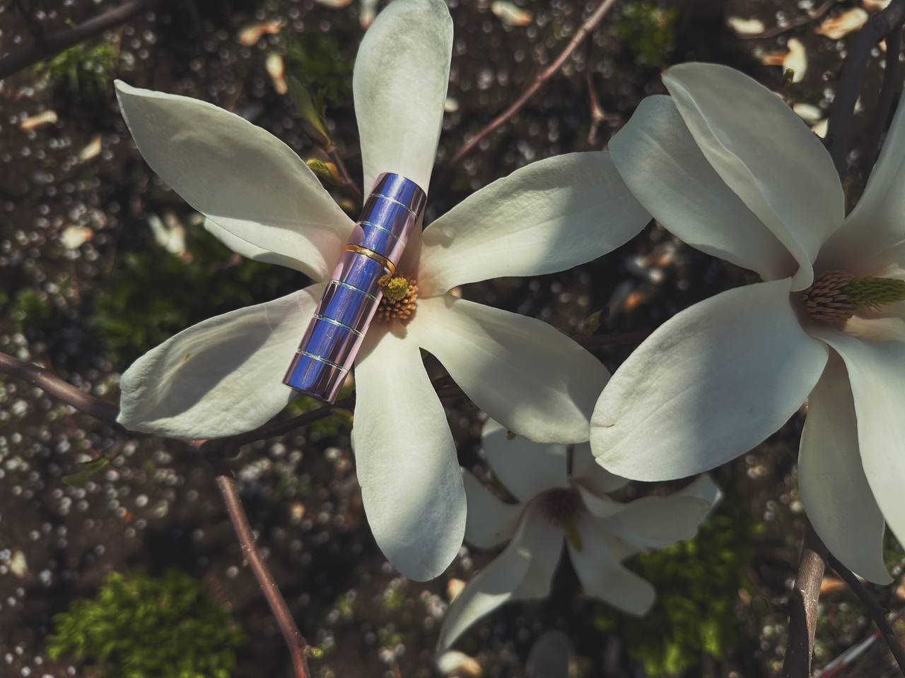 Сила нежности