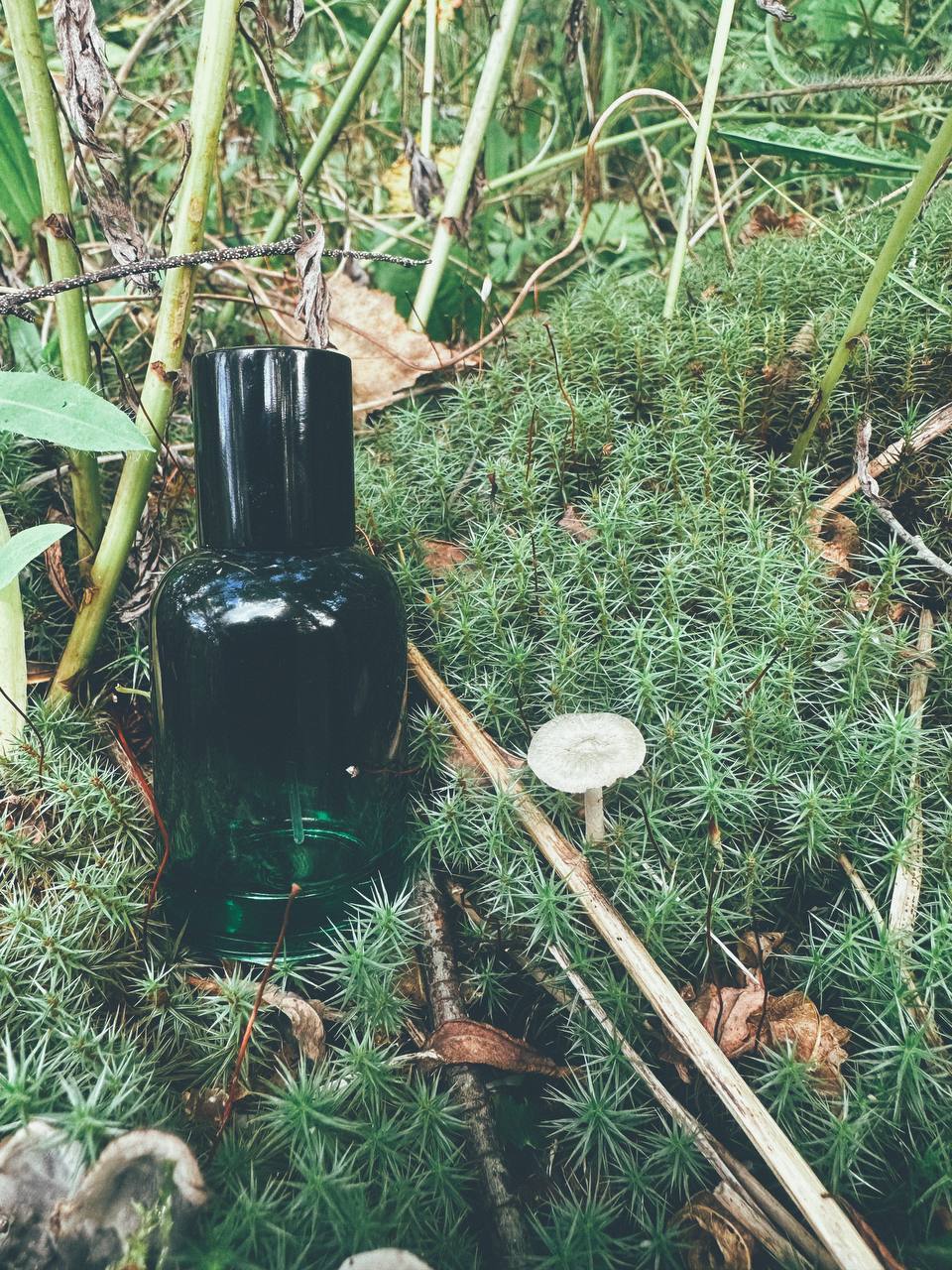 "Песни сопок"